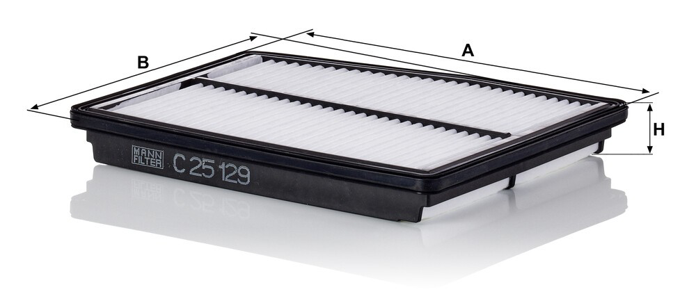Compre C25129 Mann-Filter Filtro de ar