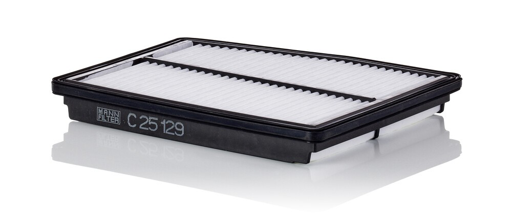 Filtro de ar Mann-Filter C25129 preço, a partir de 16,84 USD