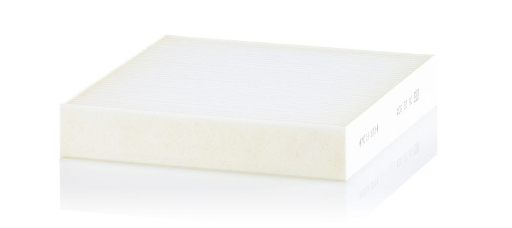 Compre CU22034 Mann-Filter Filtro de salão