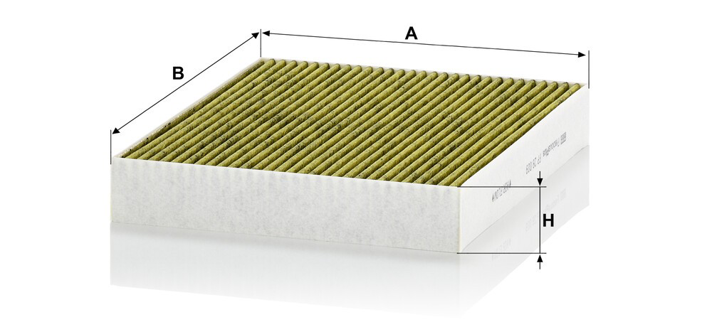 Compre FP28009 Mann-Filter Filtro de salão