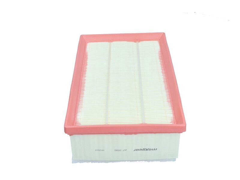 Filtro de ar 165466515R Renault (RVI)