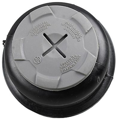 Tanque de bomba da Direção hidrâulica assistida Audi A6 C6 4F5