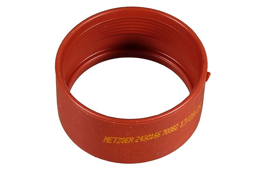 2430166 Metzger
