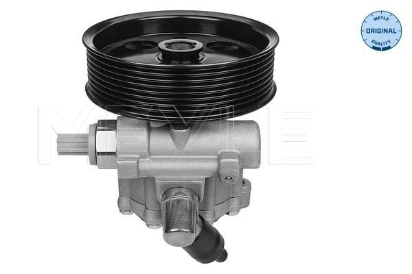  Bomba da Direção hidrâulica assistida Mercedes S sedan (W221) (2005 - 2013) 
