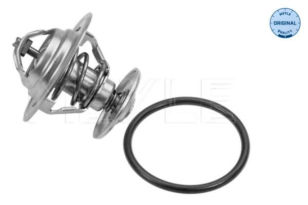 Compre Termostato Skoda Octavia 