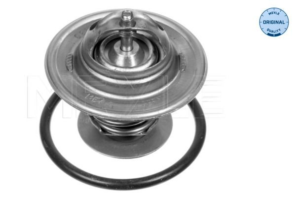 Termostato para Ford Sierra I GBC