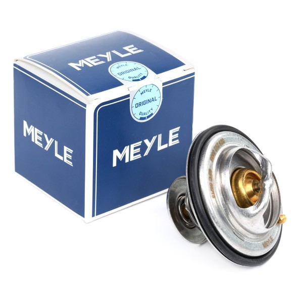 Compre Termostato BMW 3 