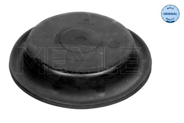 Tanque de expansão do sistema de esfriamento para Mercedes Benz Truck TRUCK ACTROS MP4 / MP5 