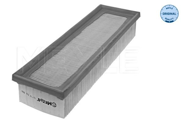 8671012205 Renault (RVI) Filtro de ar