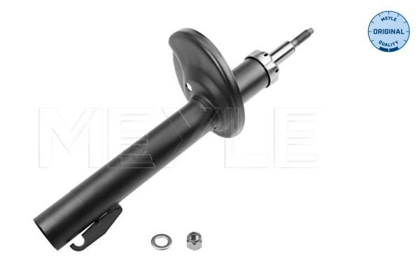 Compre Filtro de óleo MAN TGX 1