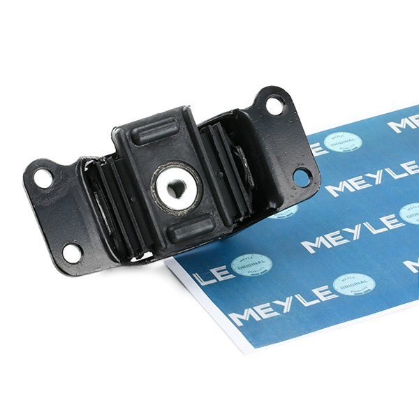 Compre 3003331106 Meyle Bloco silencioso (coxim) traseiro de redutor do eixo traseiro