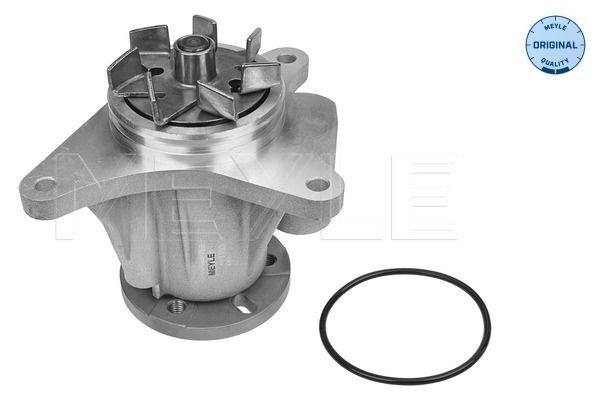  Bomba de água (bomba) de esfriamento Jaguar S-type sedan (CCX) (1999 - 2008) 