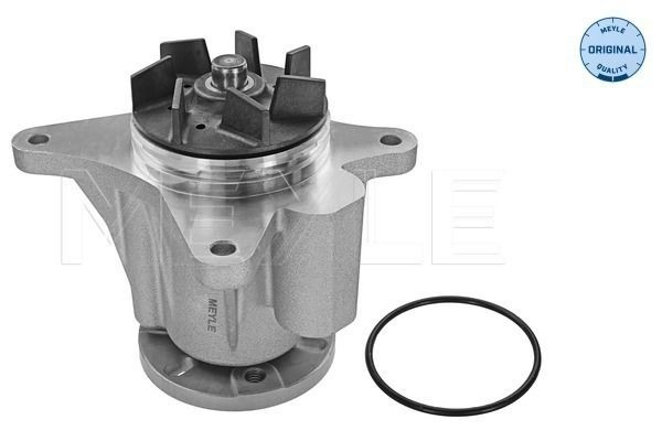  Bomba de água (bomba) de esfriamento Land Rover Range Rover SPORT II SUV (L494) (2013 - 2022) SPORT II