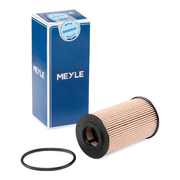  Filtro de óleo Chevrolet Aveo II hatchback (T250, T255) (2006 - 2011) II
