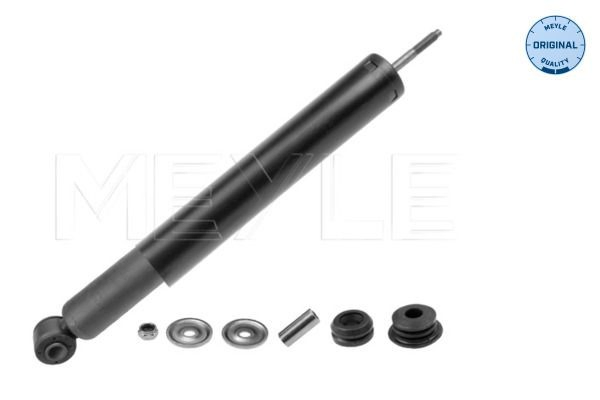 553189 Sachs Amortecedor traseiro