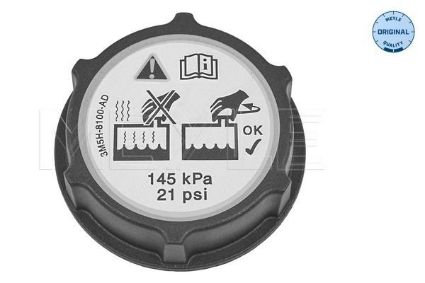 Compre Tampa (tampão) do tanque de expansão Ford Kuga 2