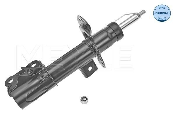 2317571 Ford Amortecedor dianteiro direito