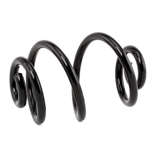 Mola traseira BMW 6756972