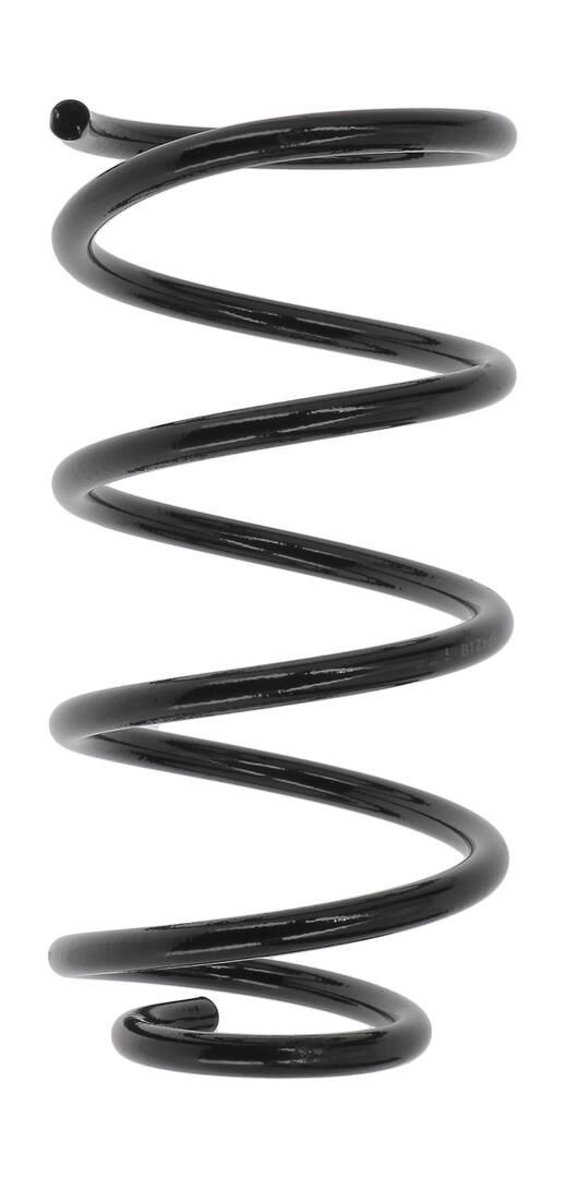 Mola dianteira para Ford Kuga II CBS
