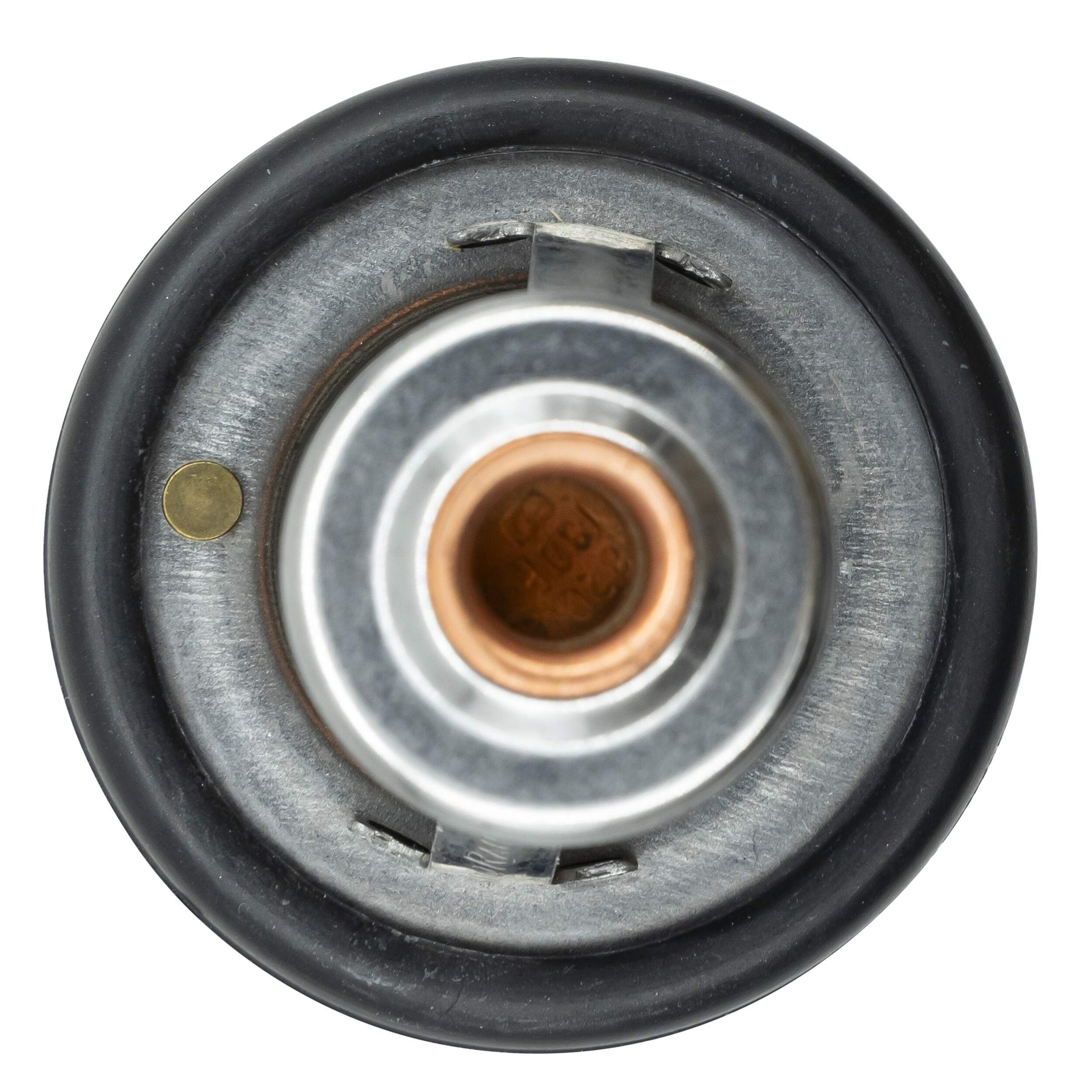 TE0283 Magneti Marelli Termostato