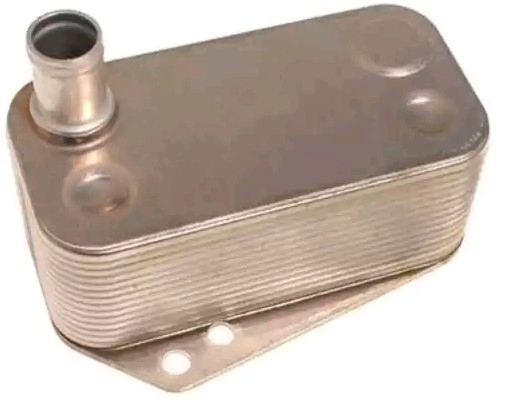 Radiador de óleo (frigorífico), debaixo de filtro 5989070151 BMW