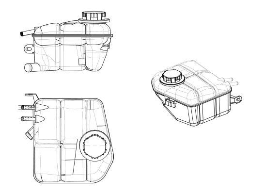  Tanque de expansão do sistema de esfriamento Ford Connect TOURNEO ônibus (PU2) (2002 - 2013) TOURNEO
