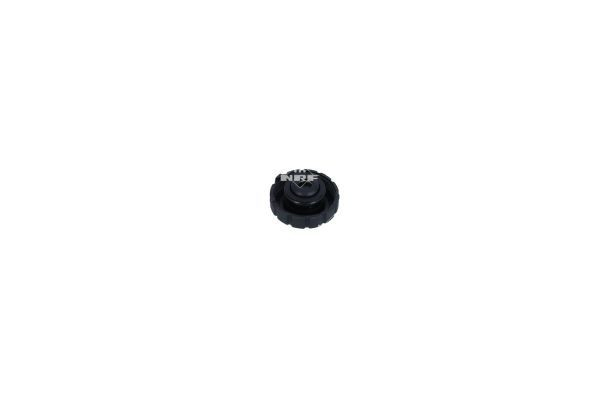 Tanque de expansão do sistema de esfriamento 454093 NRF
