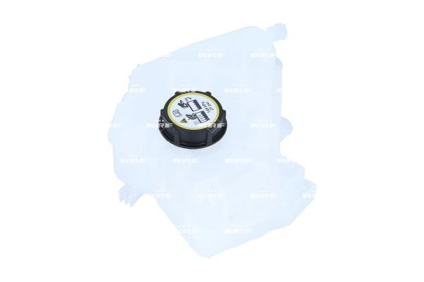  Tanque de expansão do sistema de esfriamento Ford ECOSPORT SUV (2013 - 2022) 