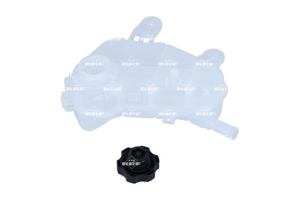 Tanque de expansão do sistema de esfriamento Chevrolet Aveo III T300