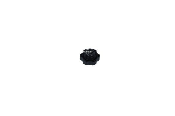 Tanque de expansão do sistema de esfriamento para Chevrolet Aveo III T300