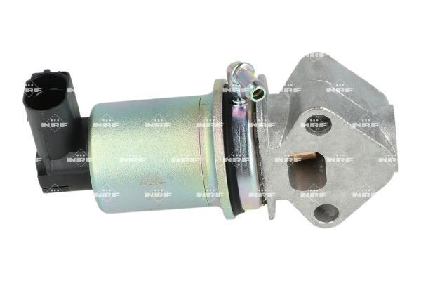 Válvula EGR de recirculação dos gases 48341 NRF