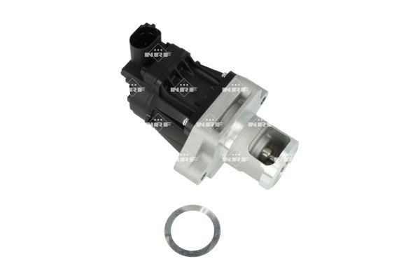 Comprar  RENEGADE  BU, B1