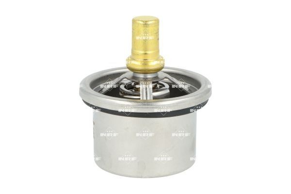 Compre Termostato DAF 105 