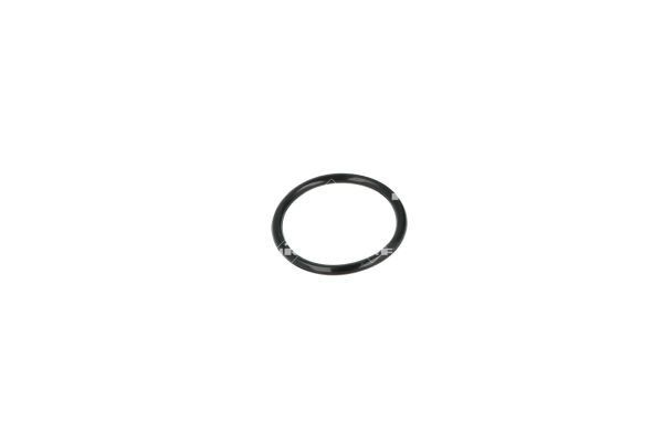 Flange do sistema de esfriamento (união em T) 1336P0 BMW