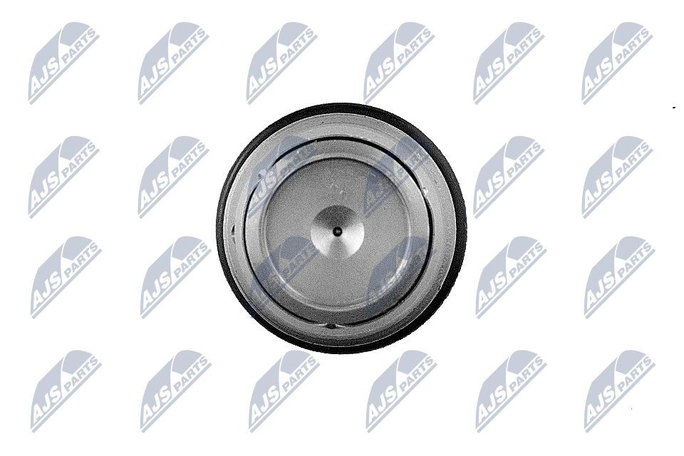 Válvula de regulação de pressão (válvula de redução da Bomba de Combustível de Pressão Alta) Common-Rail-System ESCVRE000 NTY