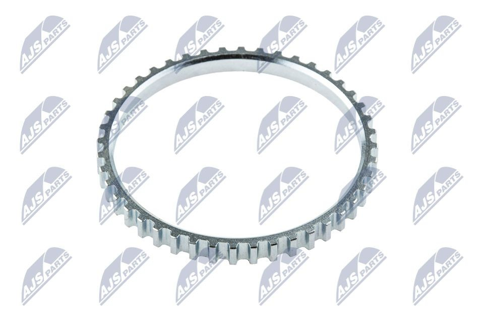 NZARE002 NTY Anel de ABS
