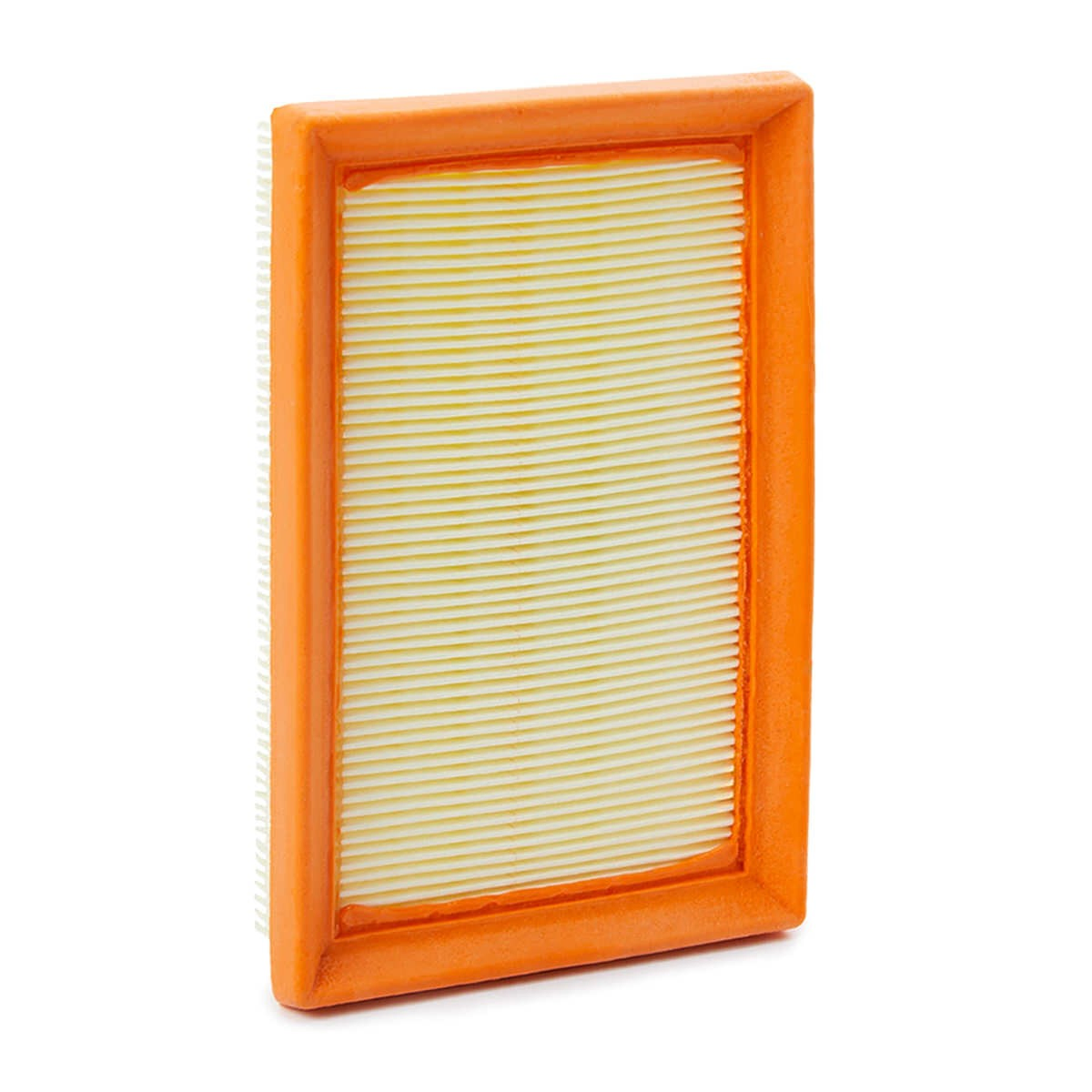 Filtro de ar A1613 Purflux