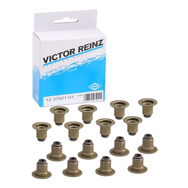 123762101 Victor Reinz Vedação de válvula (coletor de óleo), admissão/escape, kit para um motor