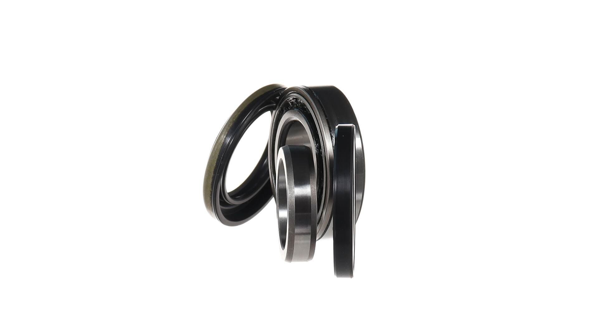 Rolamento de cubo traseiro Massey Ferguson 51898054
