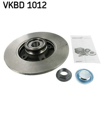 Disco do freio traseiro VKBD1012 SKF