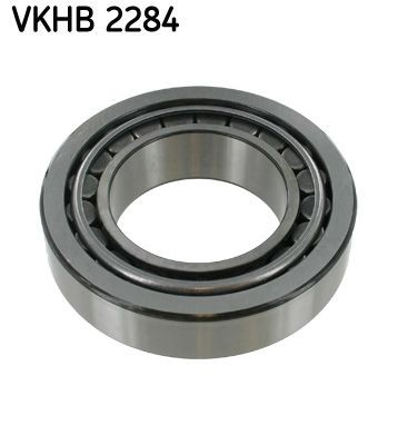 Rolamento externo de cubo traseiro 257535603110 Tata