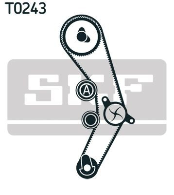 VKMA01936 SKF Correia do mecanismo de distribuição de gás, kit