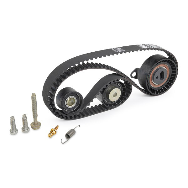 Correia do mecanismo de distribuição de gás, kit VKMA04212 SKF