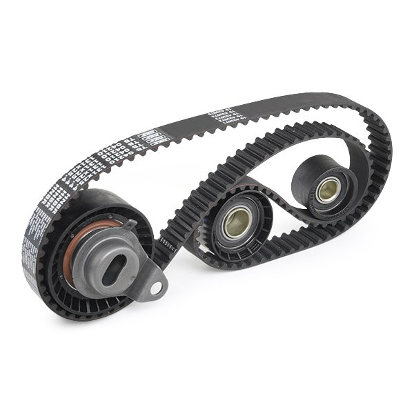 Correia do mecanismo de distribuição de gás, kit SKF VKMA04212