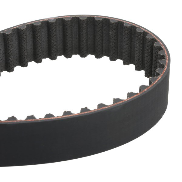 Correia do mecanismo de distribuição de gás, kit SKF VKMA06020