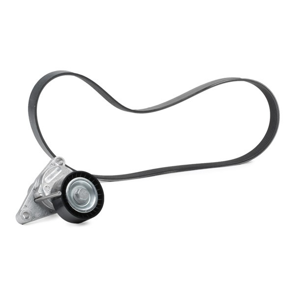 Correia dos conjuntos de transmissão, kit SKF VKMA33074