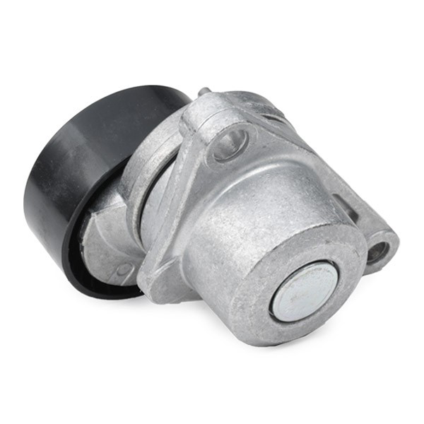 VKMA33074 SKF Correia dos conjuntos de transmissão, kit