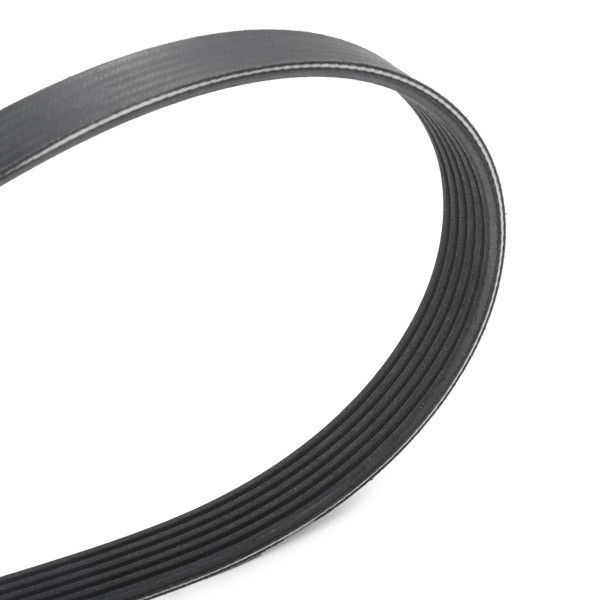 Correia dos conjuntos de transmissão, kit VKMA33074 SKF