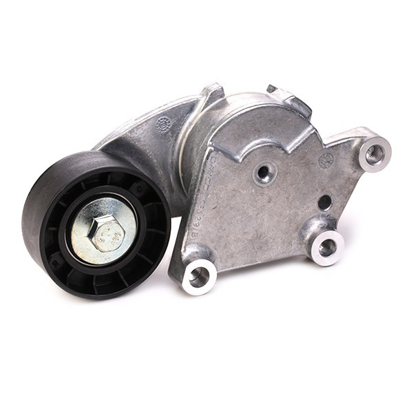 Correia dos conjuntos de transmissão, kit VKMA33222 SKF