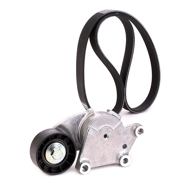 VKMA33222 SKF Correia dos conjuntos de transmissão, kit